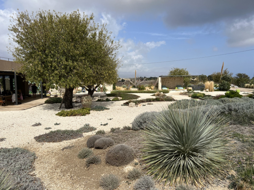 plush74 villa beige sicilia 36(1)