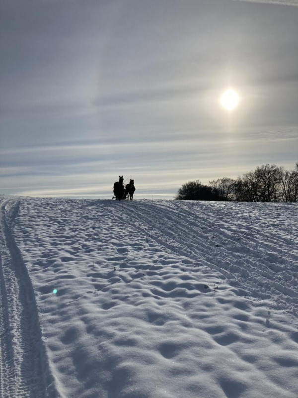 pluche74 villa karpno 23