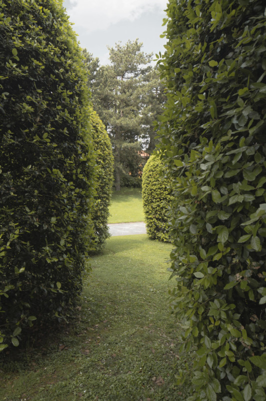 pluche74 villa met kunsttuin 44(1)