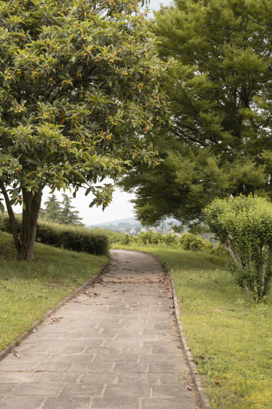 pluche74 villa met kunsttuin 45(1)