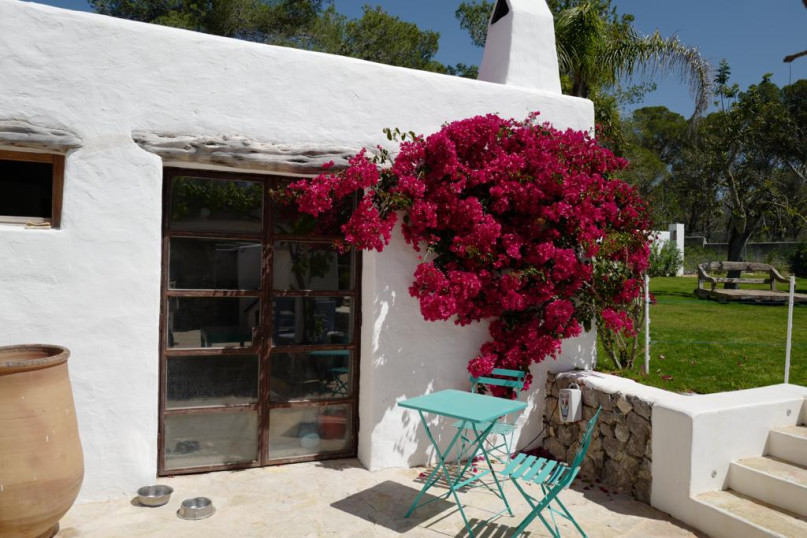 felpa74 villa con piscina ii ibiza 17