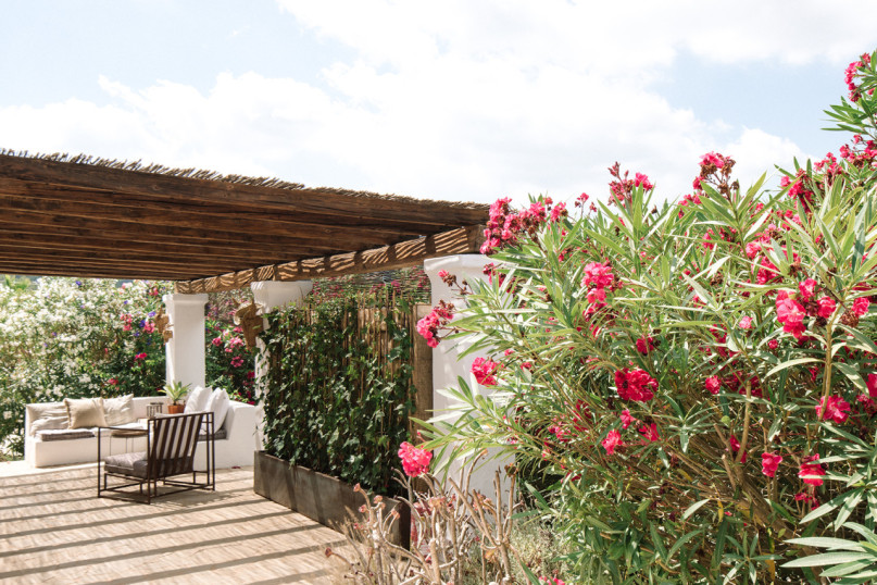 rough luxe suite c ana lui 00008