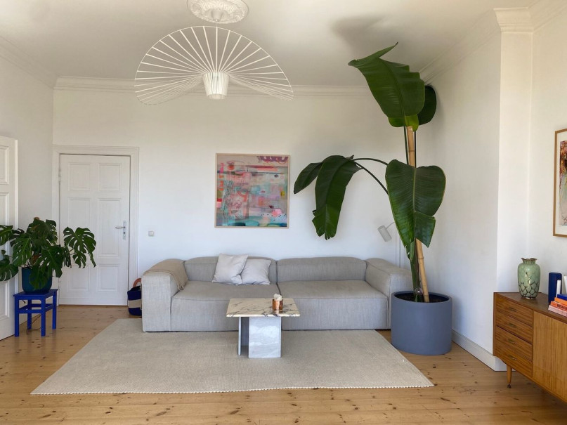 the big leaf apartment 10