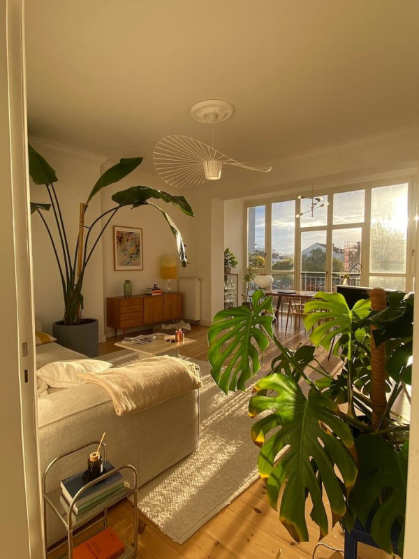 the big leaf apartment 4
