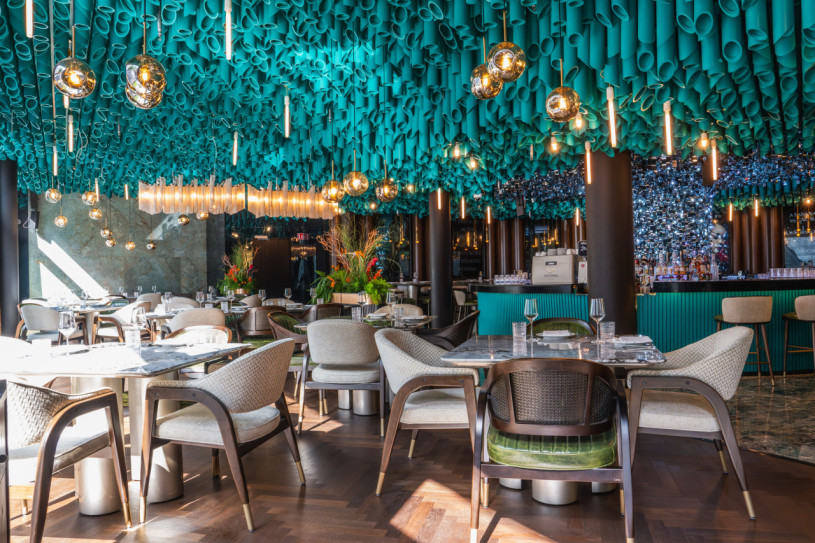 20240810 the coral 15