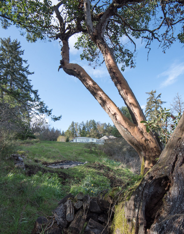 4857plush74 locatie film foto evenement vancouver island canada oceaan hut 21