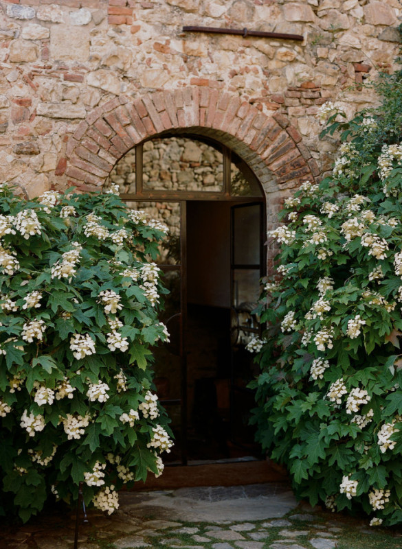 copia di lizdavid0029