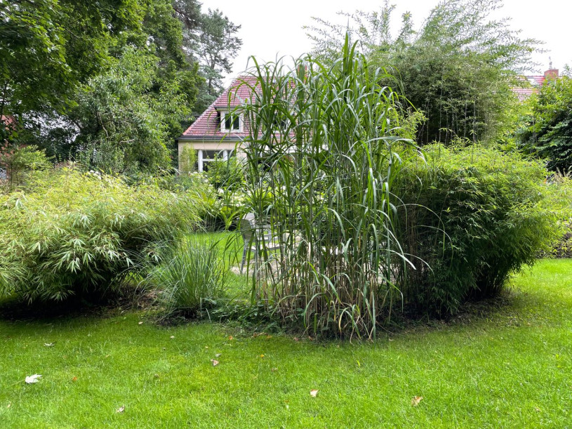 haus villa 1936 in wilhemshorst michendorf 34