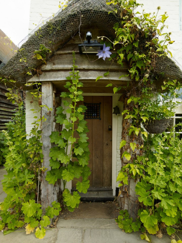 hopecottage silverstein peluche74 località uk11