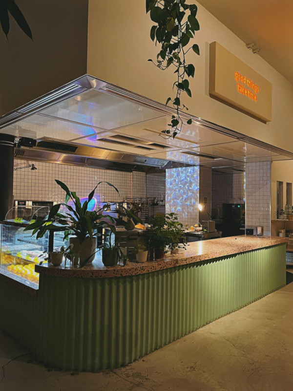 imagen00029 1536x2048