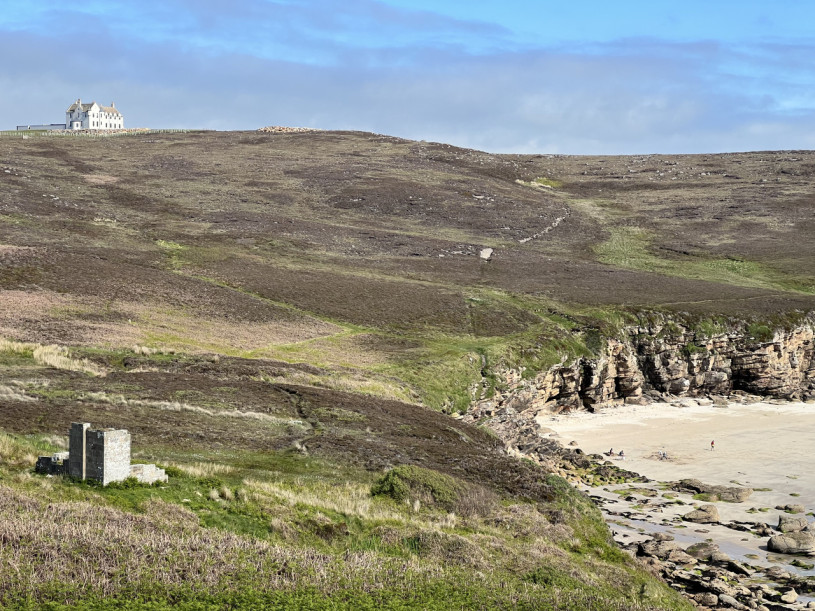 landscape copy