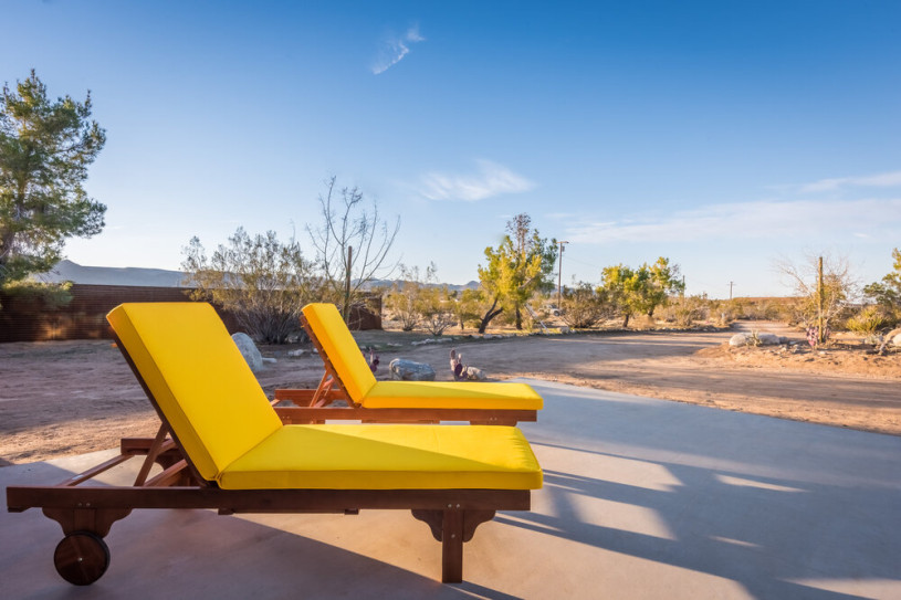 plus74 roos caasita usa joshuatree locatie19