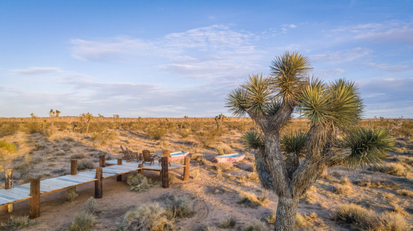 plus74 roos caasita usa joshuatree locatie27