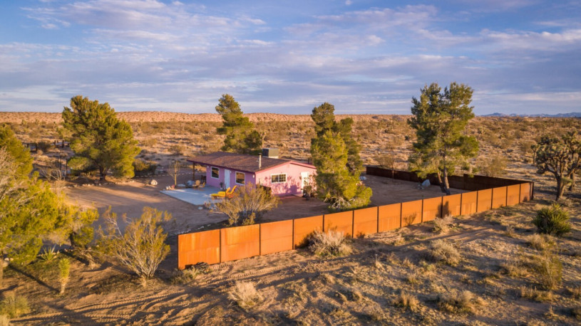 plus74 roos caasita usa joshuatree locatie29