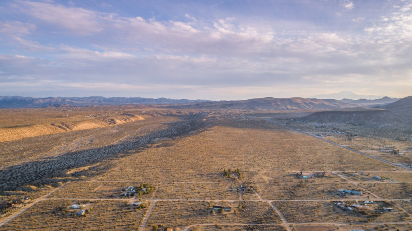 plus74 roos caasita usa joshuatree locatie30