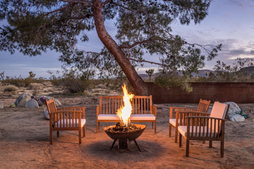 plus74 roos caasita usa joshuatree locatie32