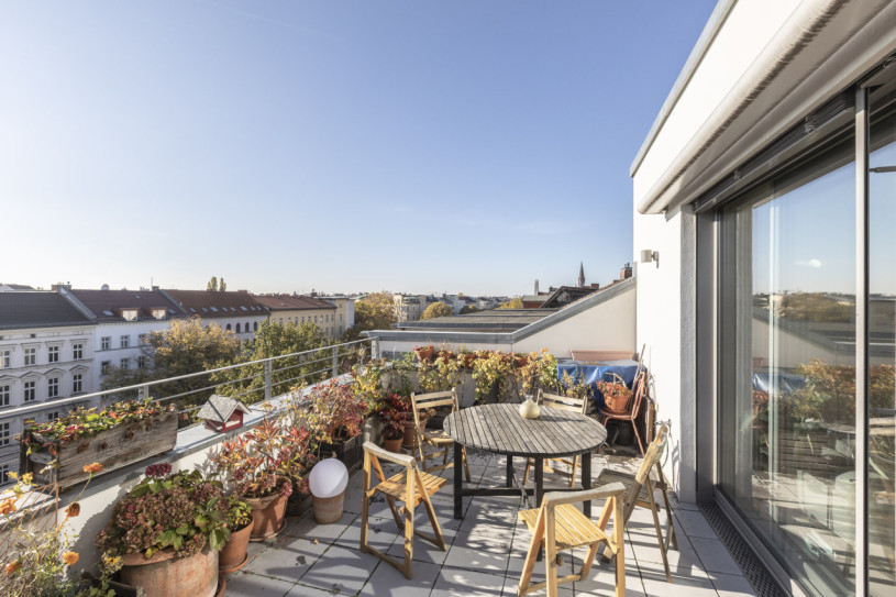 felpa 74 pagelius 24573 12