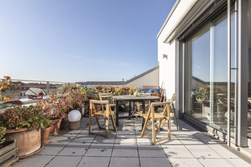 felpa 74 pagelius 24573 6