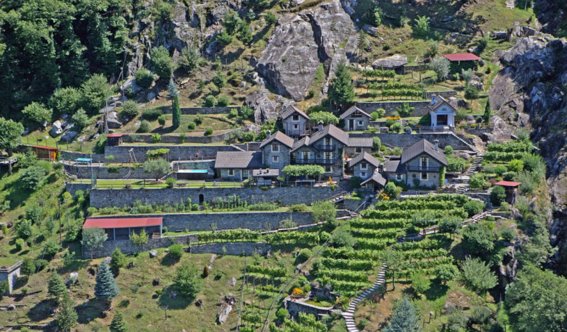 plush 74 rodino 97289 12