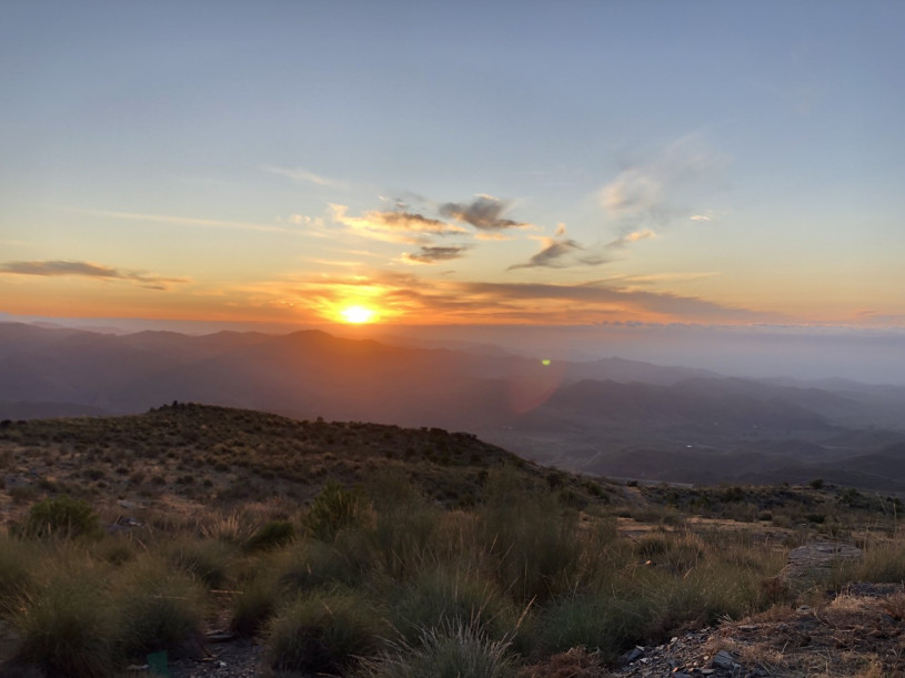 plüschige standorte almeria plattform5