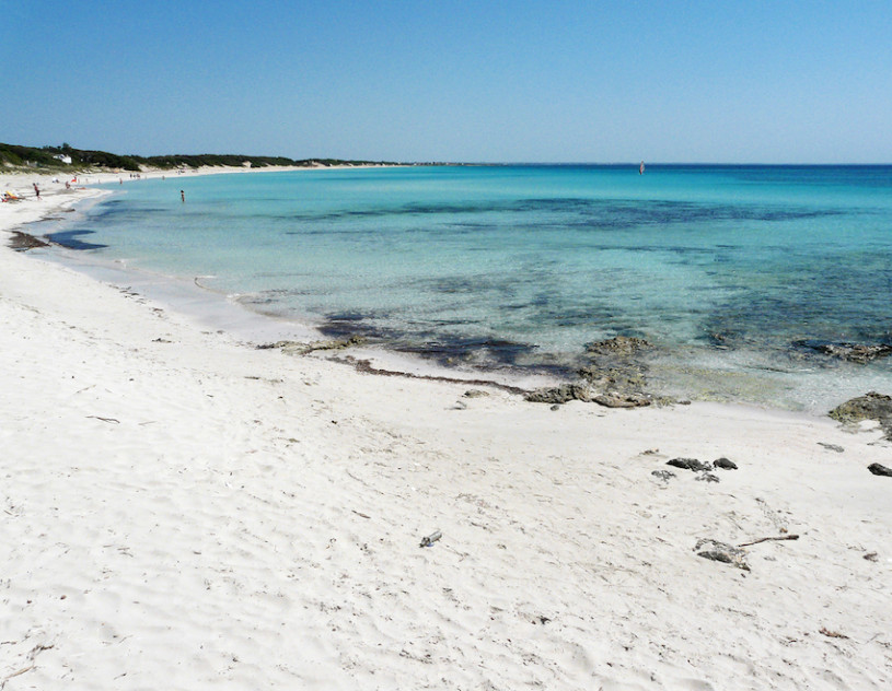 plush74 4msp location2 19