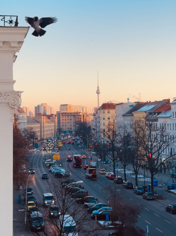 plush74 apartment mehringdamm 26 (1)