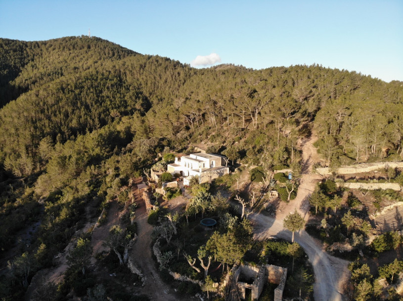 plush74 artist farmhouse ibiza 26