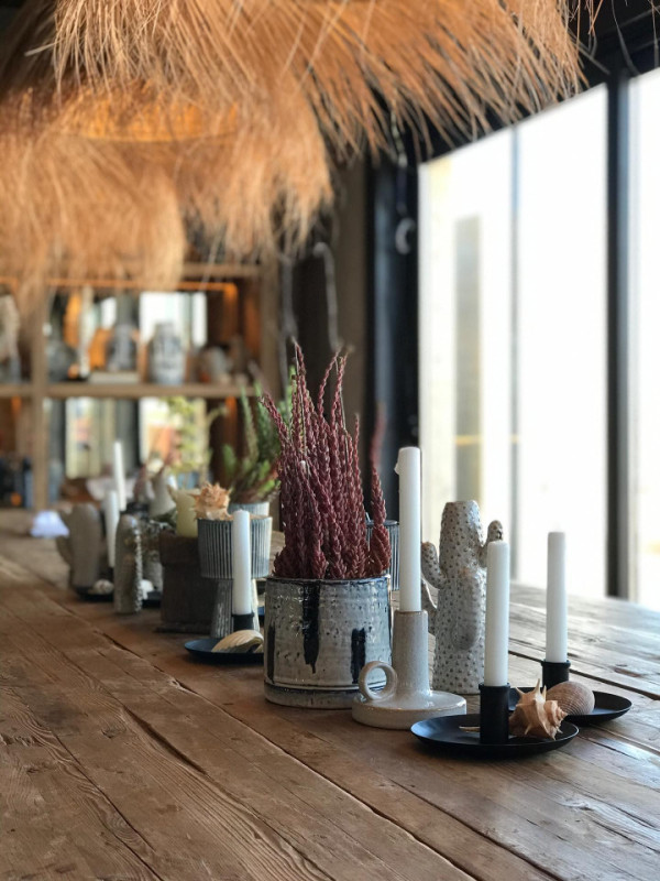 felpa74 club de playa 7