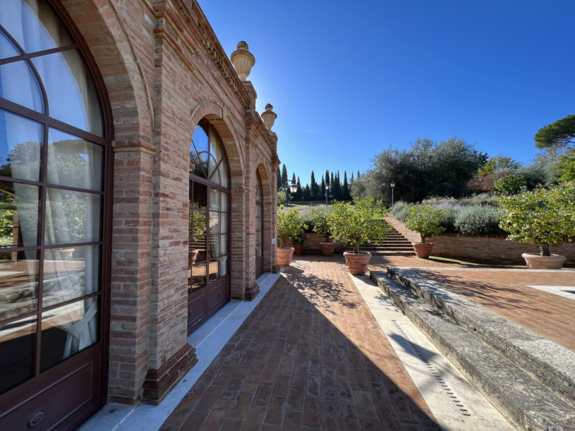 plush74 beneficio 12(1)