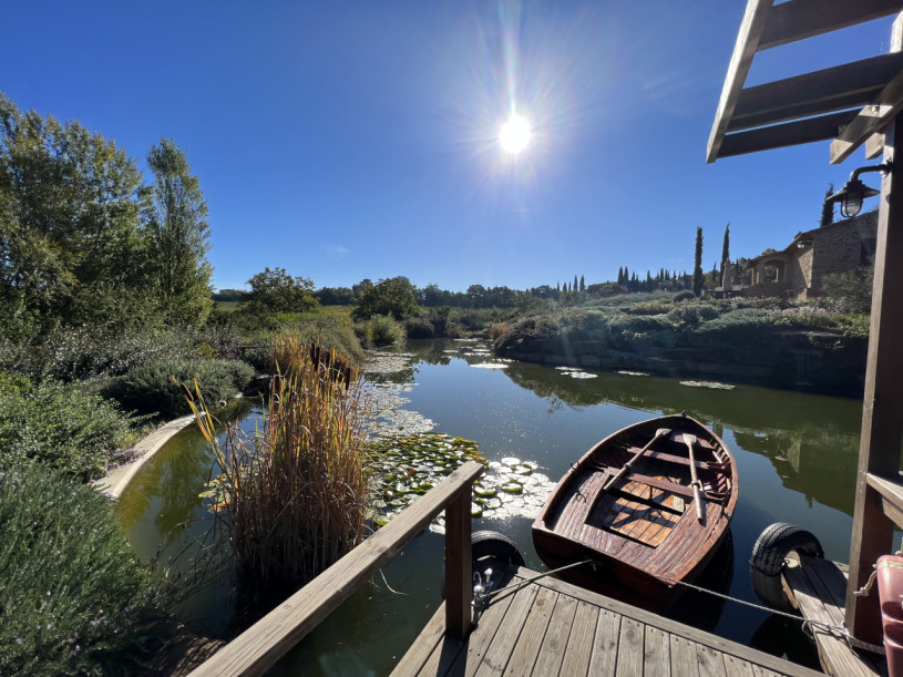 plush74 beneficio 17(1)