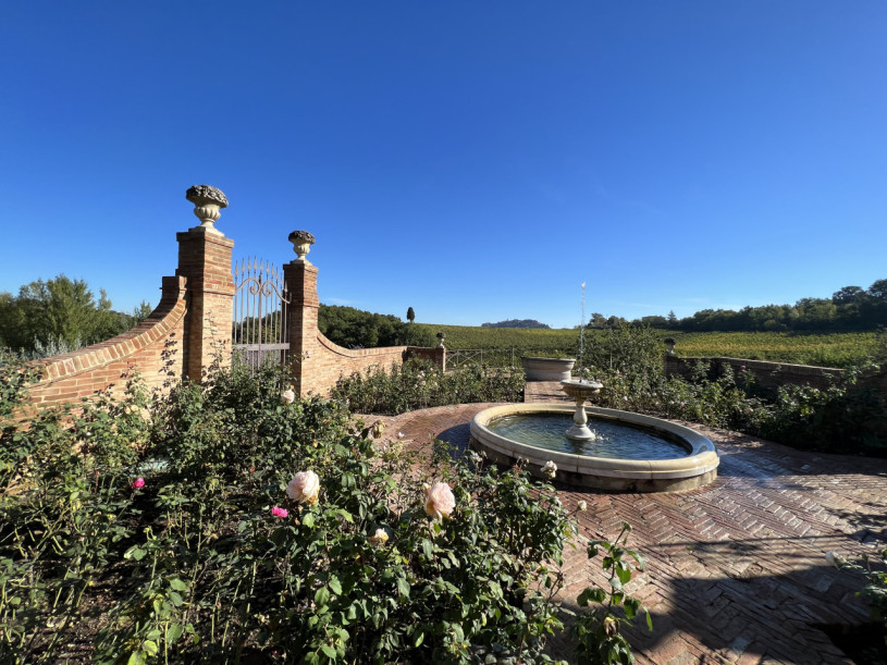 plush74 beneficio 18(1)