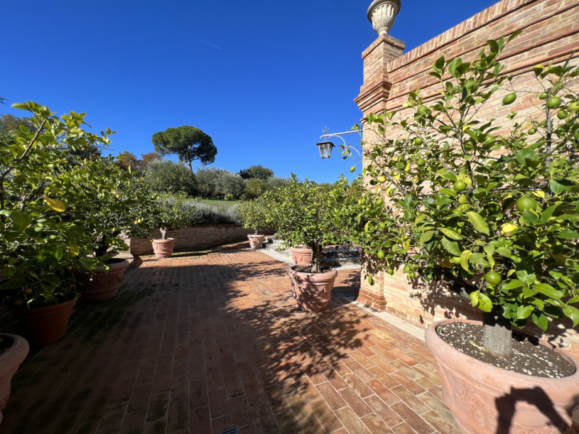 plush74 beneficio 21(1)