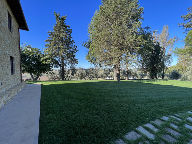 plush74 beneficio 29(1)