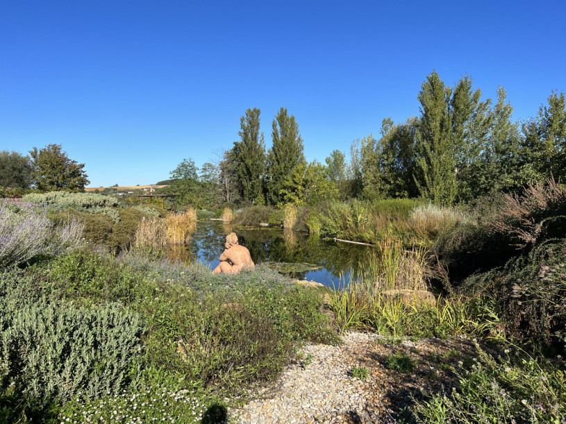 plush74 beneficio 41(1)