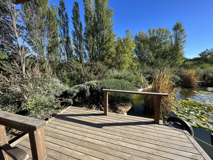 plush74 beneficio 43(1)