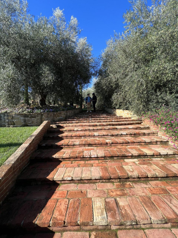 plush74 beneficio 45(1)