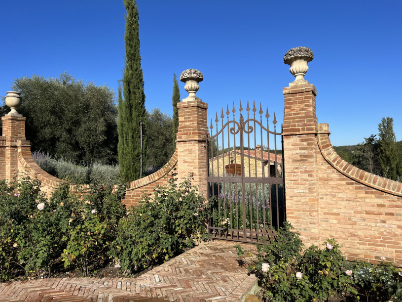 plush74 beneficio 5(1)