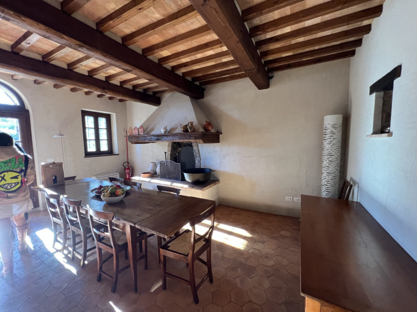 plush74 beneficio 7(1)