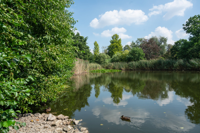 peluche74 berlino affitto location film scout photo village american style16