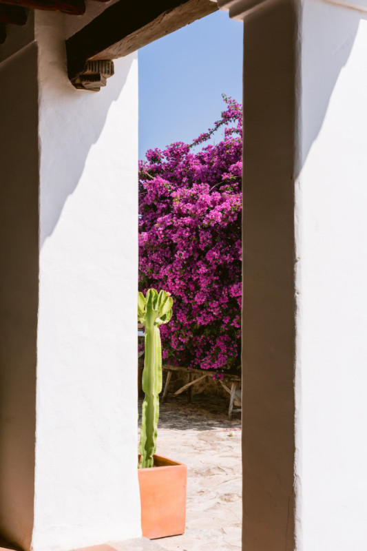 plush74 charmante ibiza pool villa 22