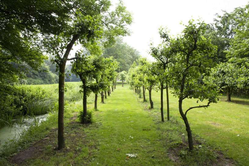 plush74 classic villa maarssen 172 (2)