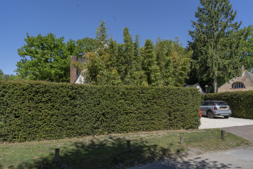 plush74 clean modern villa laren 57