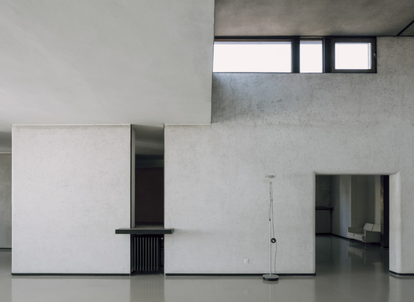 plush74 coleottero1 10 (1)