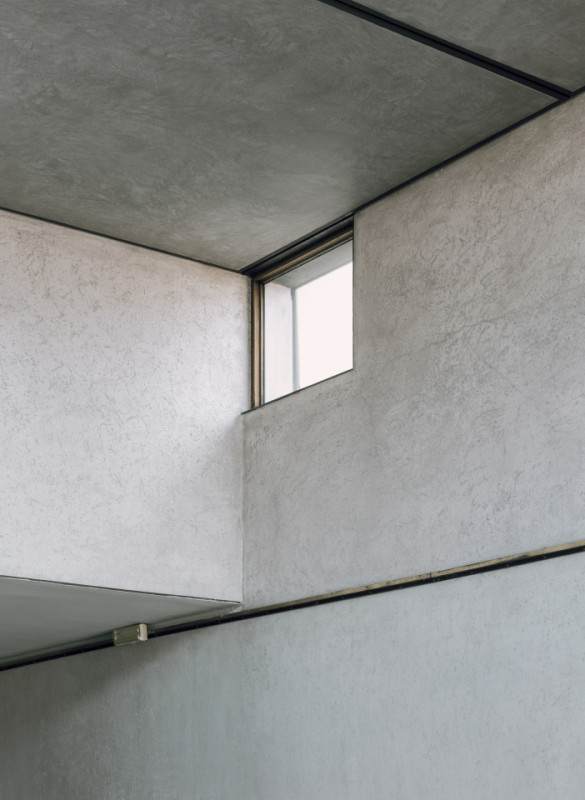 plush74 coleottero1 14