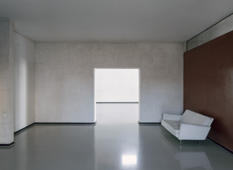 plush74 coleottero1 3