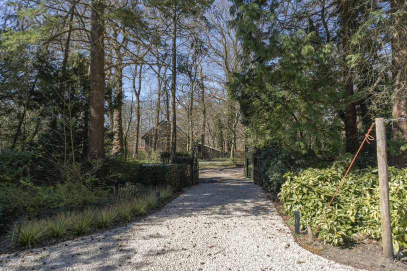 plush74 colorful family villa overveen 122