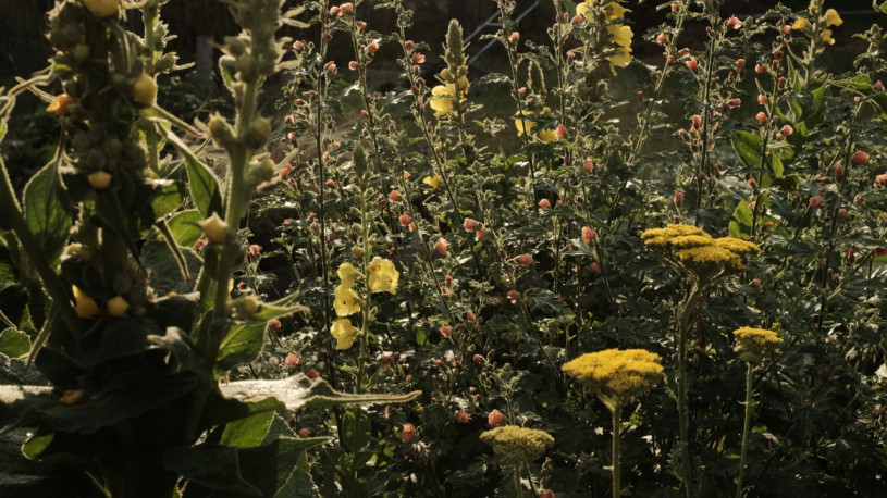 felpa74 campo serenidad uckermark 20(1)