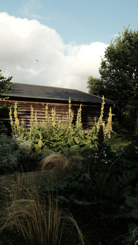 felpa74 campo serenidad uckermark 8(1)