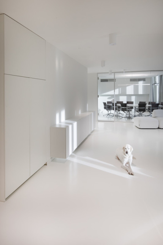 peluche74 ufficio cremoso 3