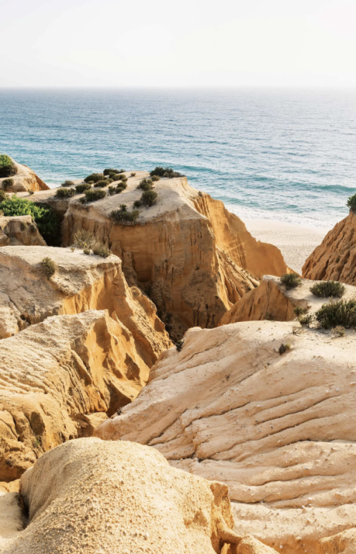 plush74 creative community portugal 18